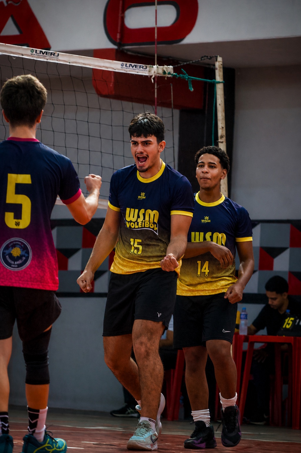 Comemoração de ponto no vôlei